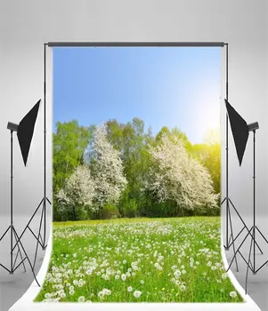 Fotoğraf Backdrop Doğa Çiçeklenme Taraxacum Ric Fantezi Çiçekler Mavi Gökyüzü Güneş