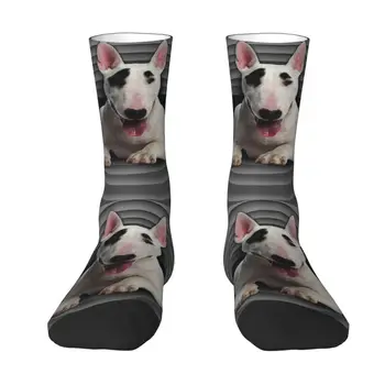 Moda Bull Terrier erkek Mürettebat Çorap Unisex Sevimli 3D Baskı Köpek Hayvan Elbise Çorap