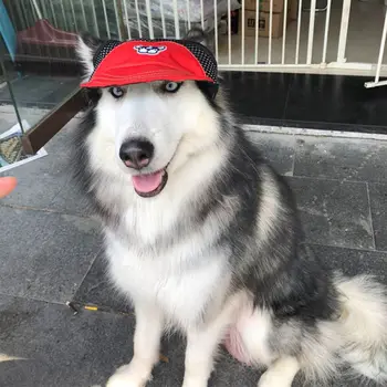 Nefes Sevimli Pet Köpek Şapka Yaz Beyzbol güneşlikli kep İçin Kulak Delikleri İle küçük orta büyük köpek Açık Aksesuarları Yürüyüş Spor