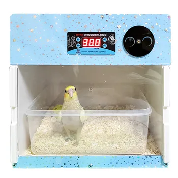 Papağan Yavru Kuluçka El Besleme Hemşirelik Kuş İlk Yardım Yetiştiriciliği Sabit Sıcaklık Kontrolü Havalandırma Xuanfeng Küçük
