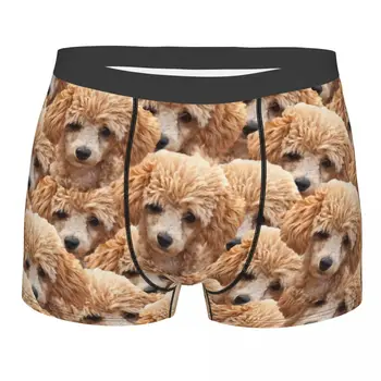 Sevimli Komik Kahverengi Kaniş Köpek erkek İç Çamaşırı Boxer Külot Şort Külot Komik Nefes Külot Homme Artı Boyutu