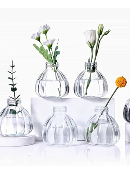 Vazo 6 parçalı Set Şeffaf cam vazo Masaüstü Topraksız Çiçek Ekle Vazo ıns Modern Dekorasyon Vazo ev dekor